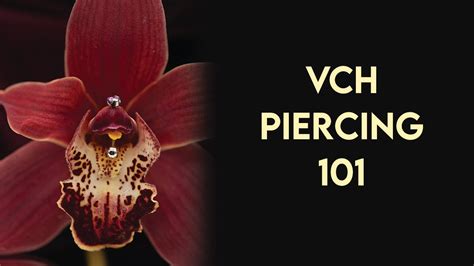 was ist ein vch piercing|VCH 101